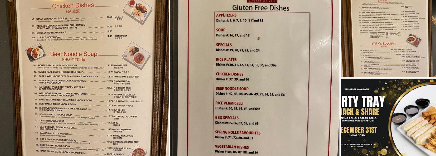 Spring Rolls Menu