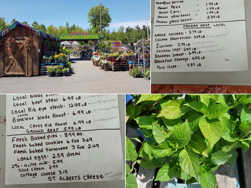 Harvest Garden Centre Menu