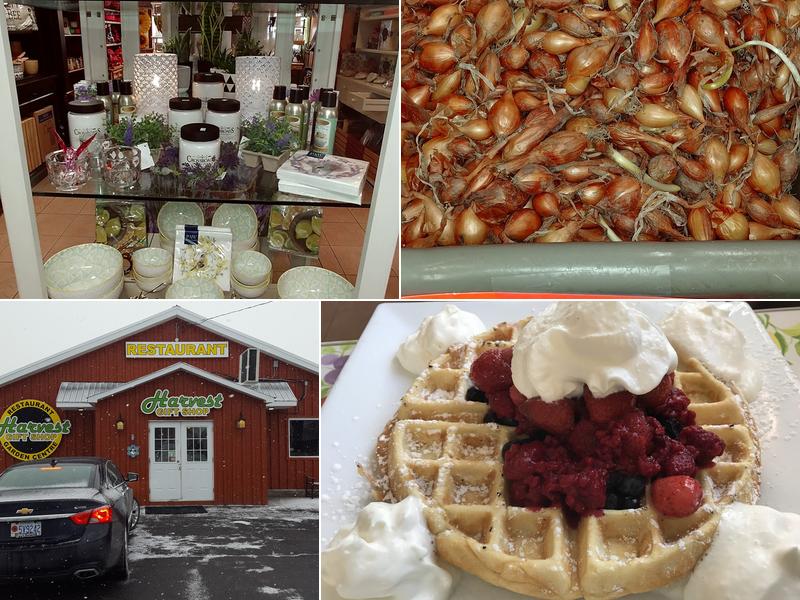 Harvest Garden Centre