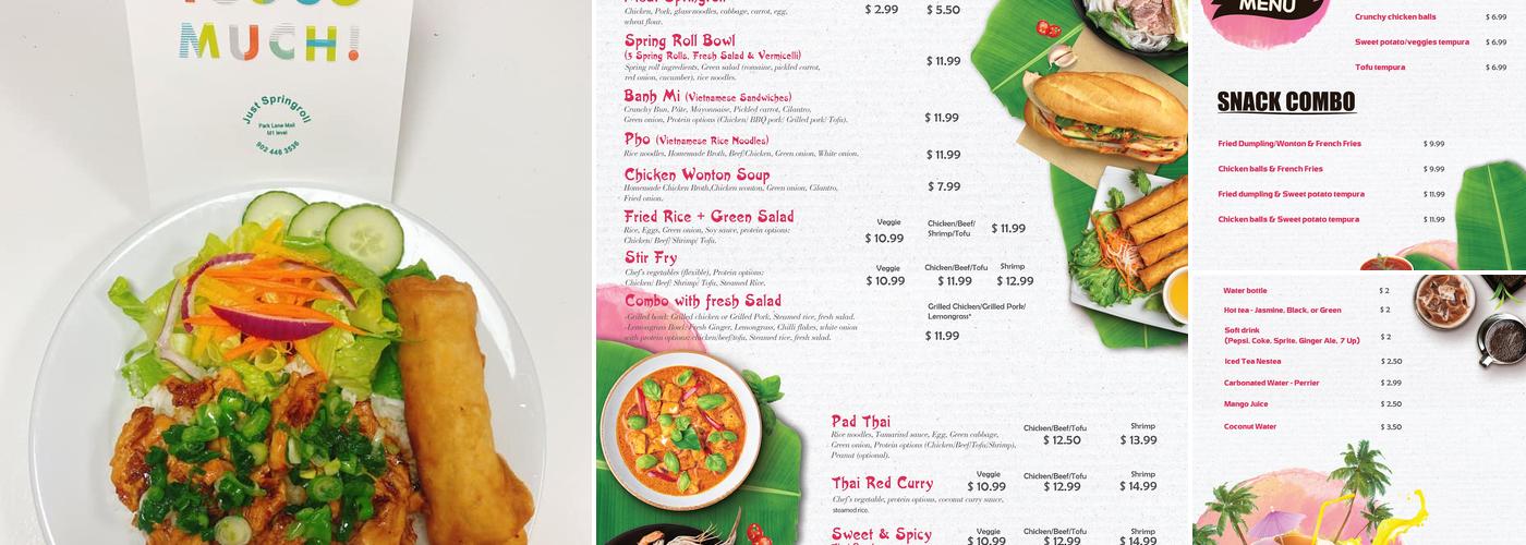 Just Spring Roll Menu