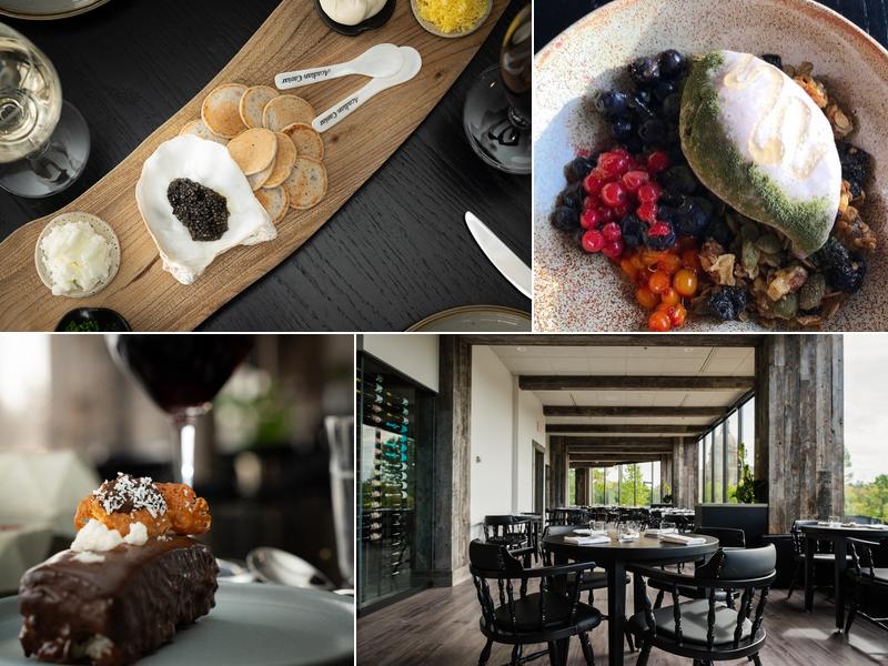 The Butternut Tree 9707 110 St NW #101, Edmonton