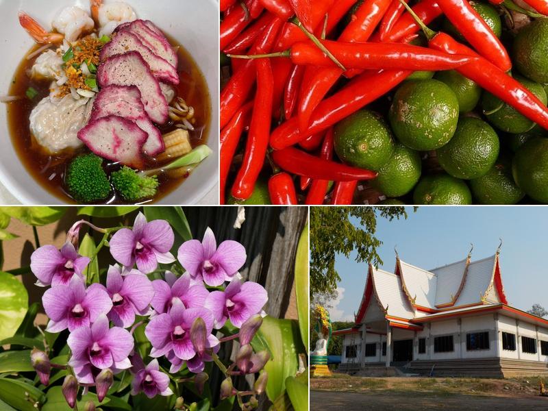 Imagine Thai Food 220 Dogwood St Unit D, Campbell River