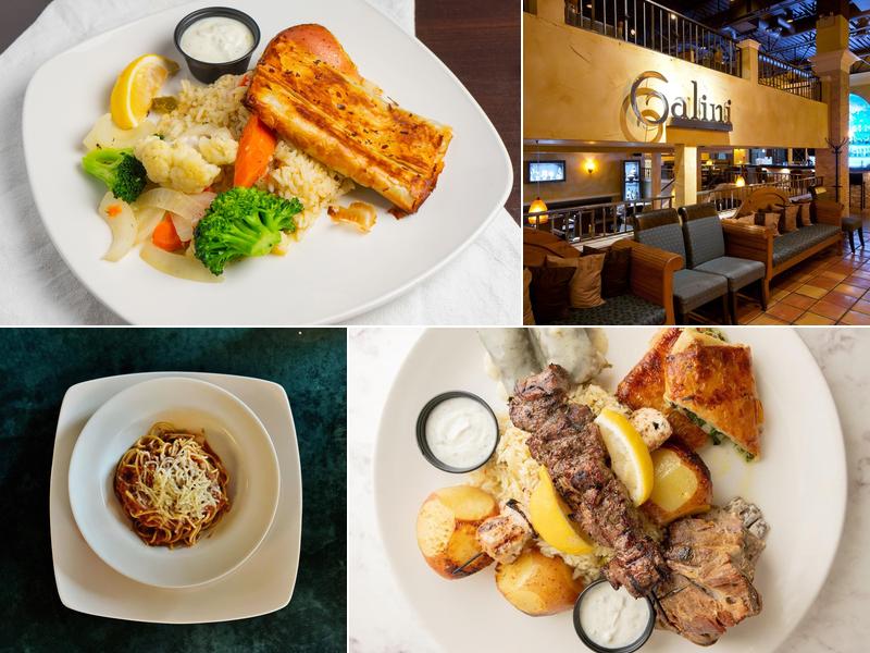 Galini Greek Kouzina & Grill