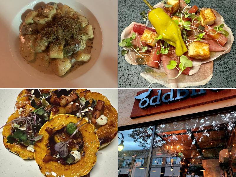 oddBird. 52 St Paul St, St. Catharines