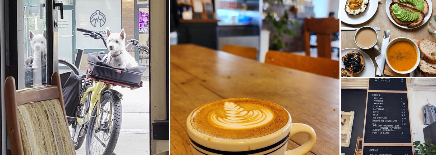 Nelson the Seagull Cafe Menu