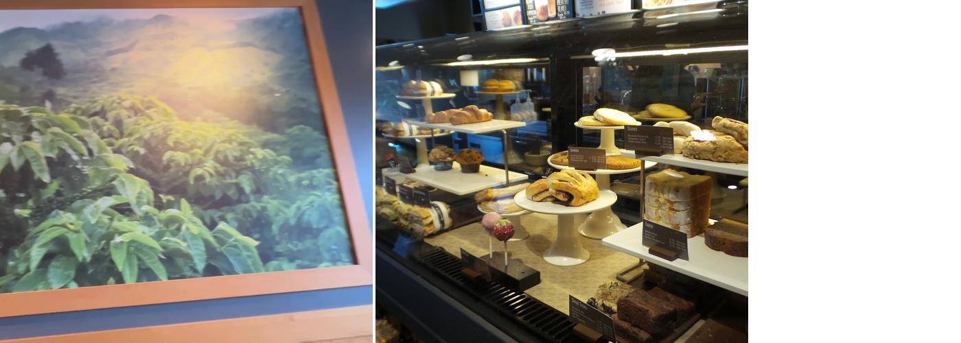 Starbucks Menu