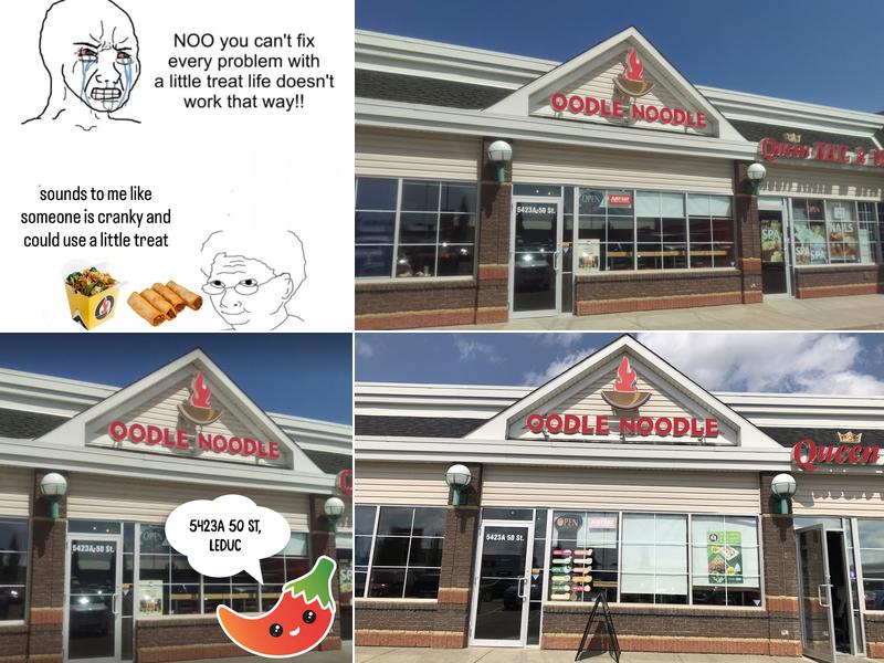 Oodle Noodle Leduc