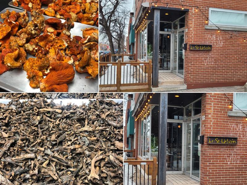 Le St-Urbain 96 Rue Fleury O, Montréal