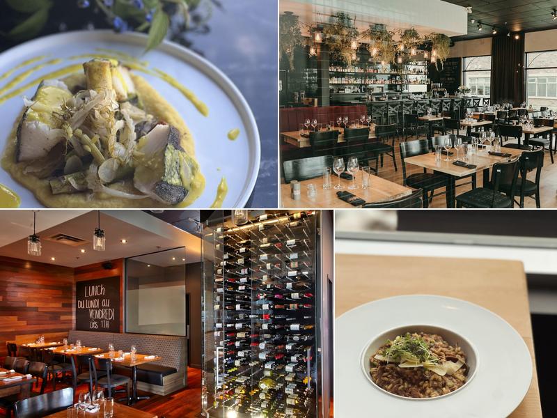 Les Fous-braques 760 Mnt Masson, Mascouche