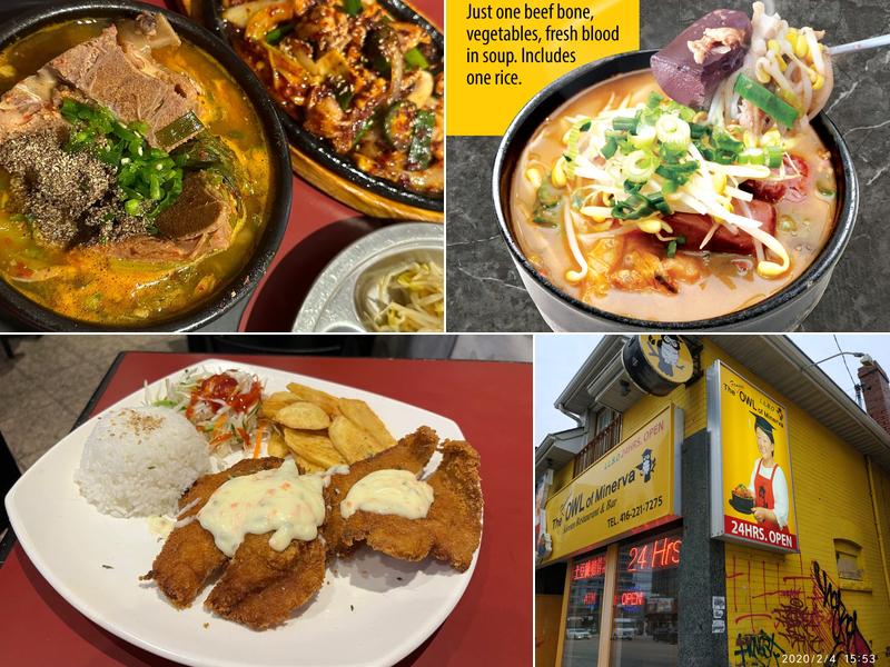 The Famous Owl of Minerva 5324 Yonge St, North York