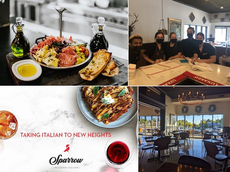 Sparrow Modern Italian