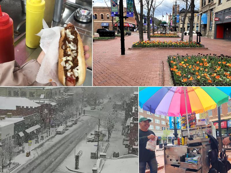 Freddie's Hot Dog Stand