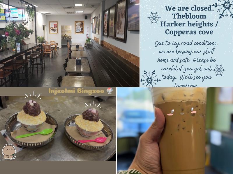 The Bloom Coffee Roasters-Copperas Cove