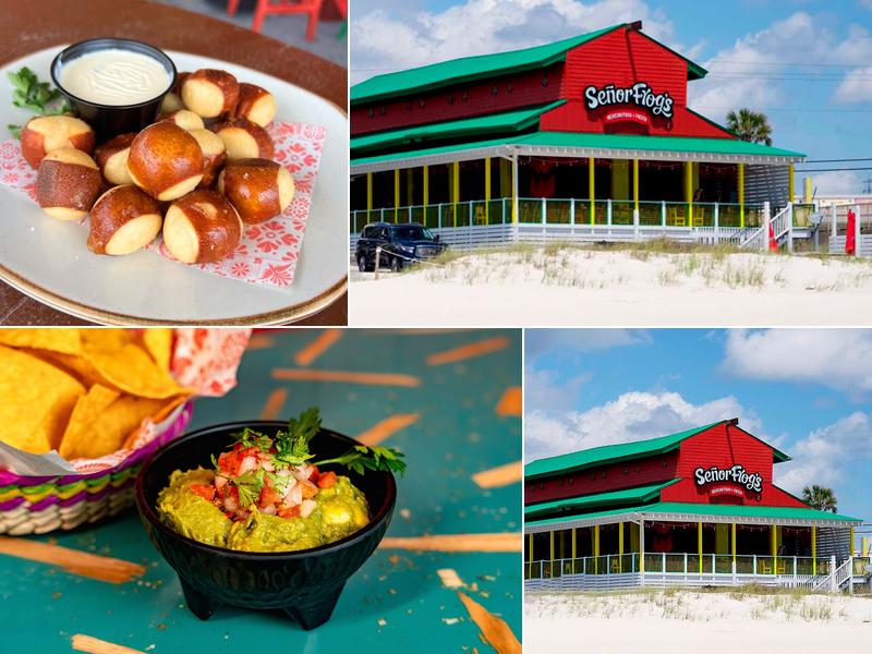 Señor Frog's | Panama City Beach
