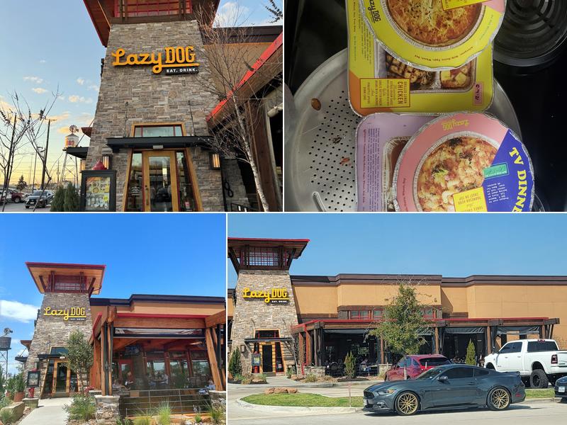 Lazy Dog Restaurant & Bar