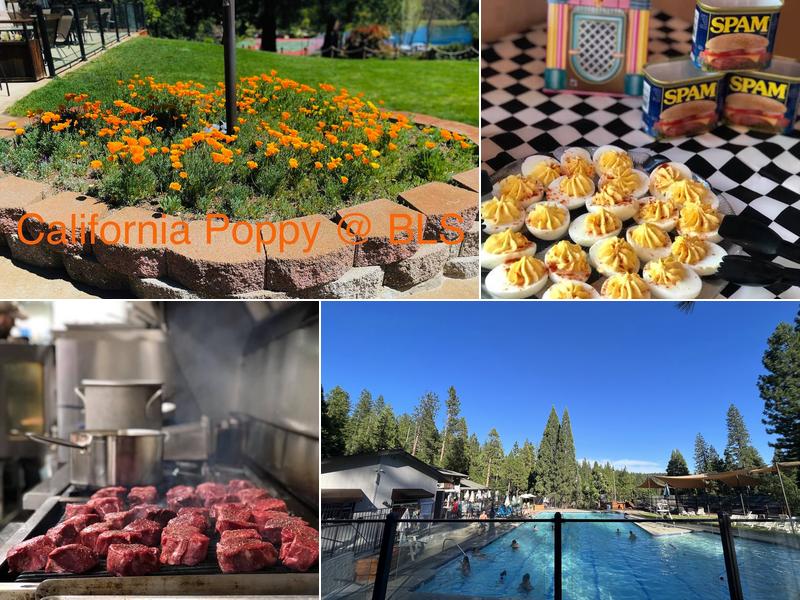 Blue Lake Springs Homeowners