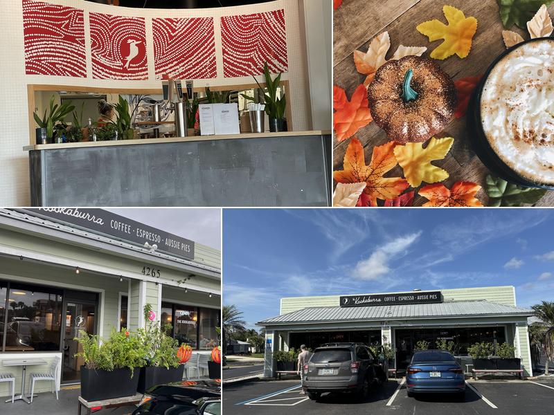 The Kookaburra Dondi