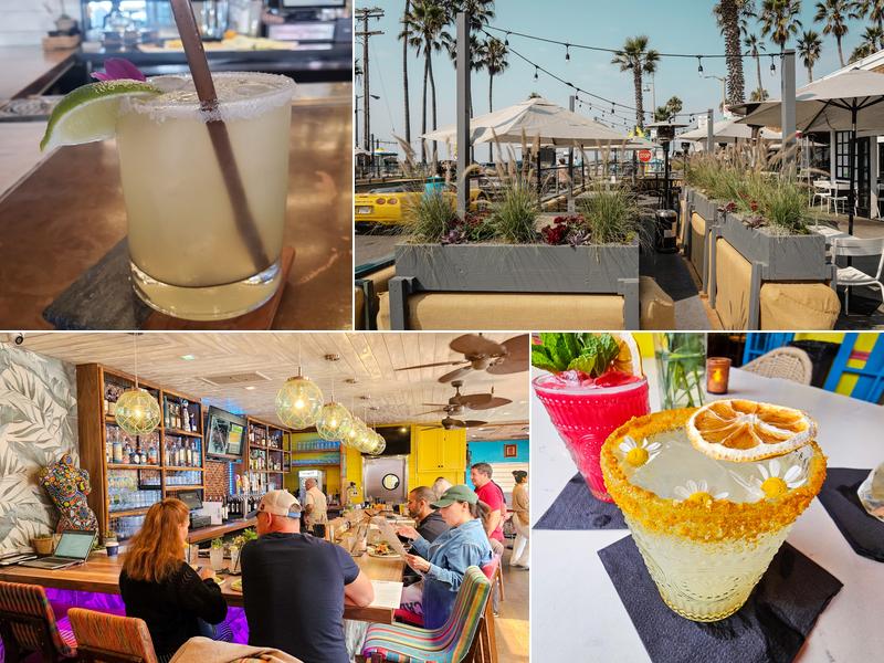 Nalu Vida Venice Beach