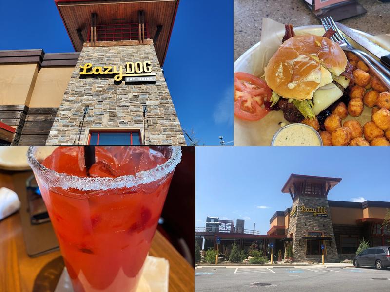 Lazy Dog Restaurant & Bar