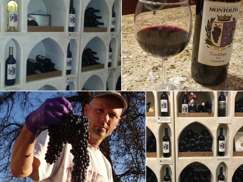 Montoliva Vineyard & Winery