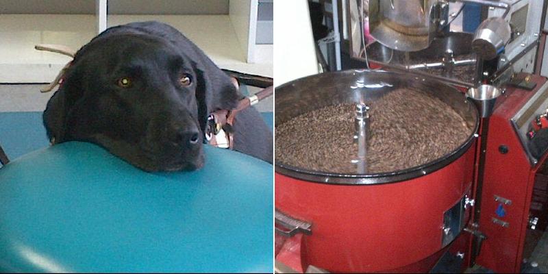 Moon Doggie Coffee Roasters