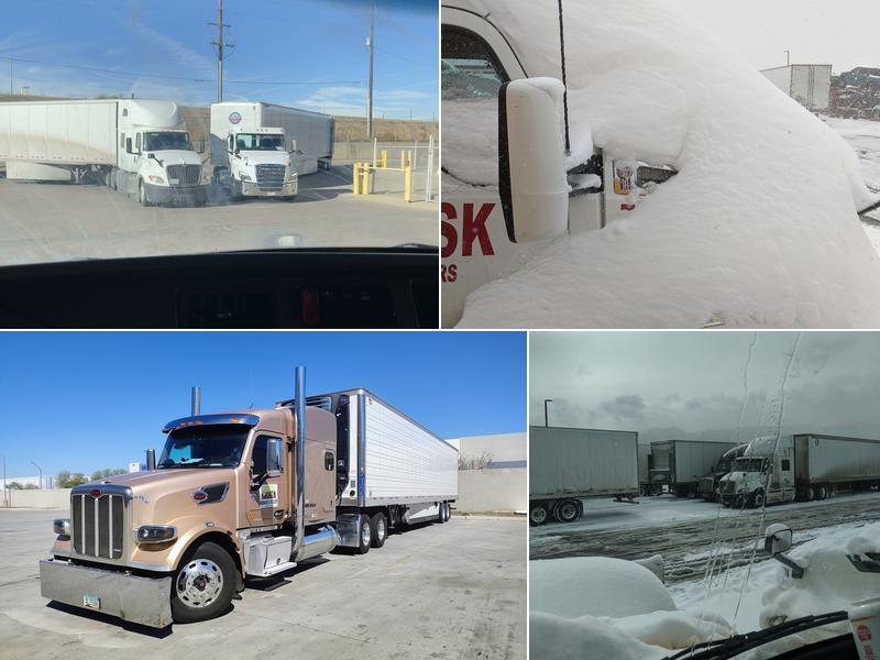 Safeway / Albertson's Distribution Center