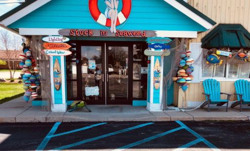 Stuck In Seaweed Fair Haven