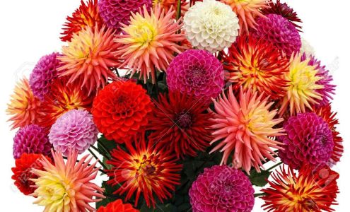 Harmon’s Paint & Wallpaper, Inc.