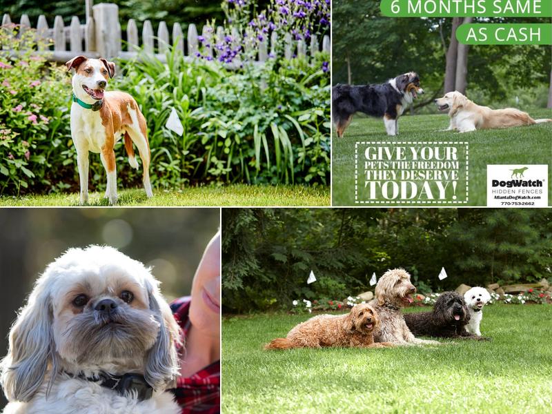 DogWatch Hidden Fence