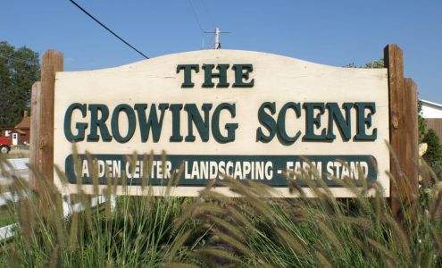 The Growing Scene
