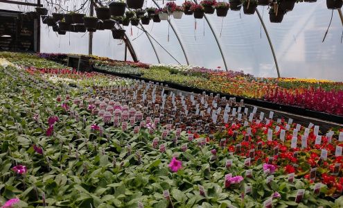 Musall's Lawn, Garden & Landscape Center