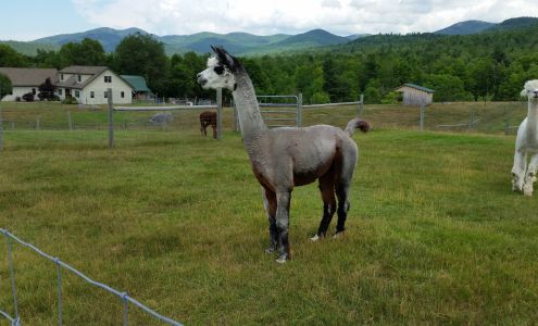 Flowering Meadow Nursery Inc Jay