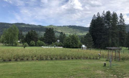 Roots Produce & Flower Farm