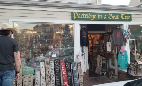 Partridge in a Bear Tree