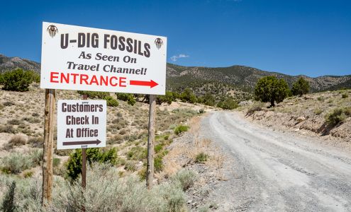 U-Dig Fossils: Quarry