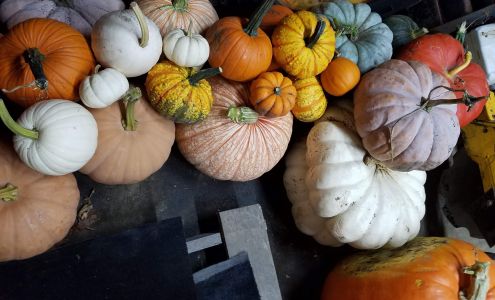 Midlothian Warehouses