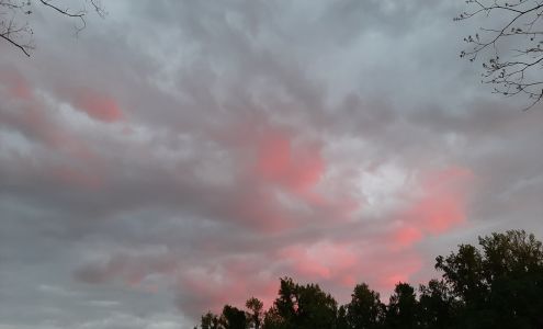 Tar Landing Automotive