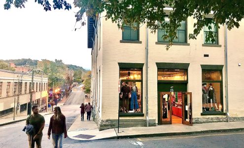 Posies for Lulu Vintage