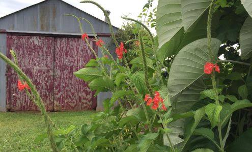 Bustani Plant Farm
