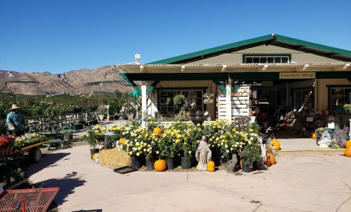 Otto & Sons Nursery - Garden Shop