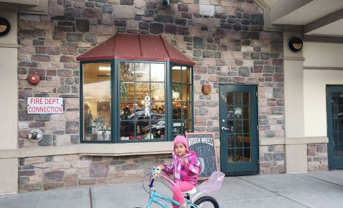 Wooden Wheels Service, Repair & Sales