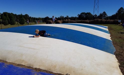 Steele's Christmas Tree Farm Angie