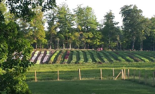 Stillman's Farm New Braintree