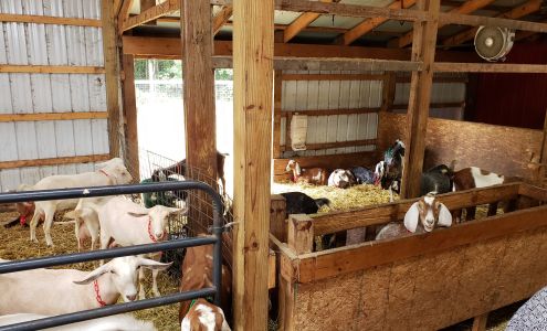 Maple Leaf Farm and Creamery Falmouth