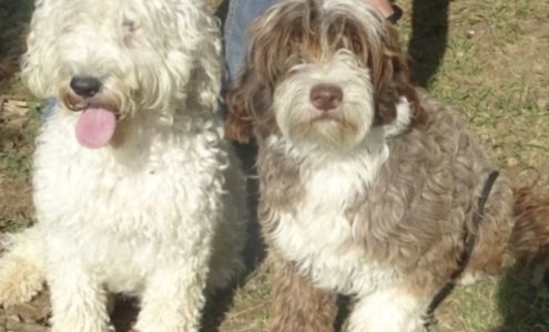 Pier 7 Porties West Plains