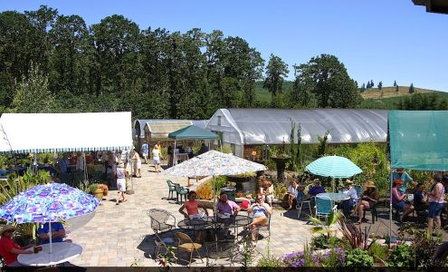 Dancing Oaks Nursery and Gardens