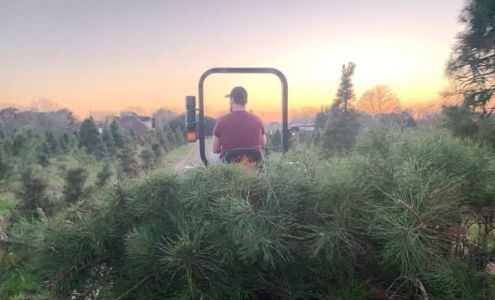 Holiday Acres Christmas Tree Farm