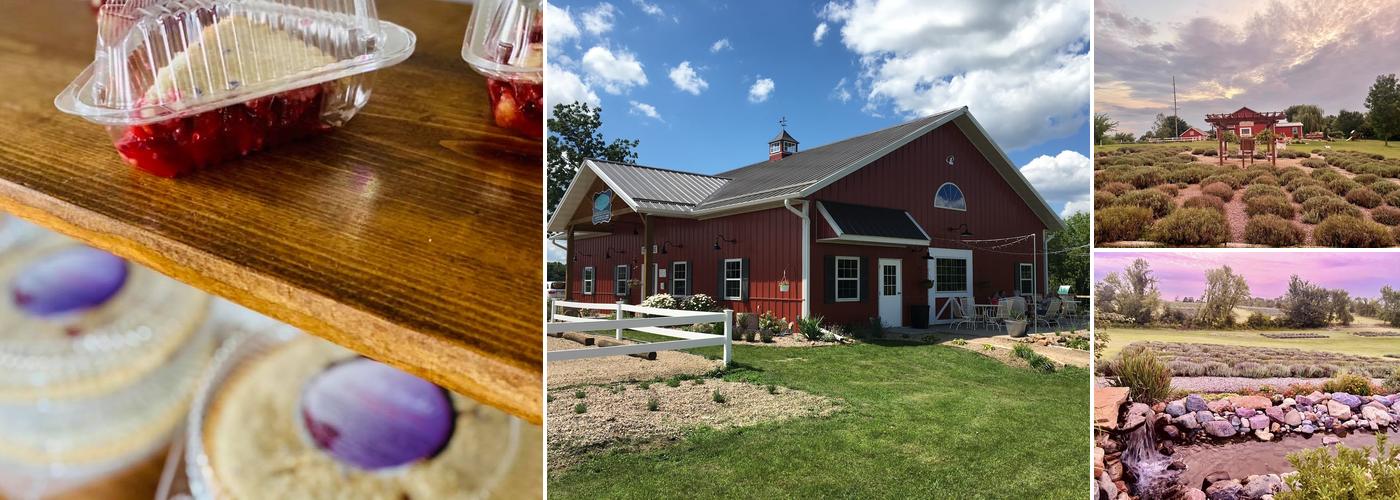 New Life Lavender & Cherry Farm