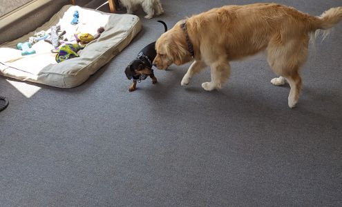 Lindy's Auto Repair & Sales Greene