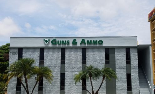 Regions Guns & Ammo